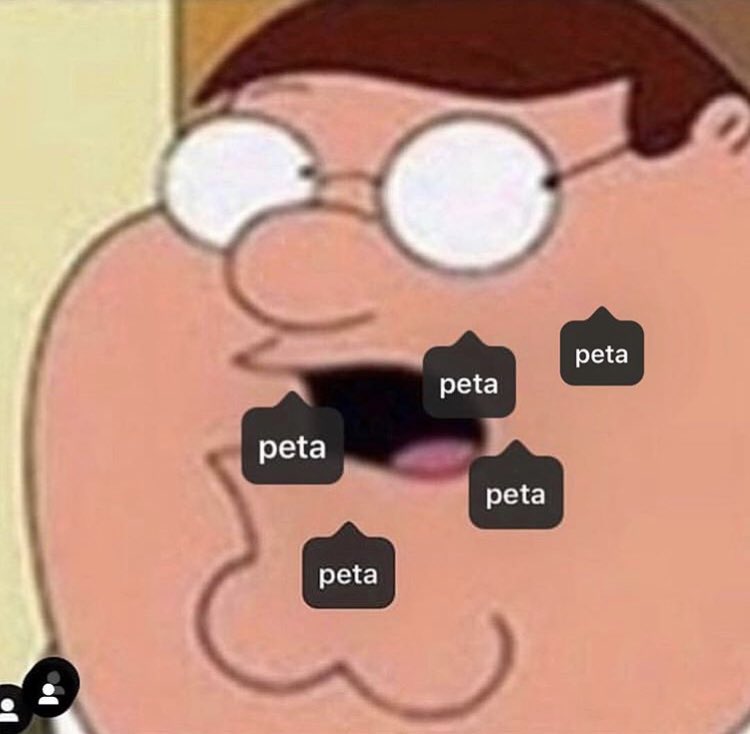 agent11eat tweet media