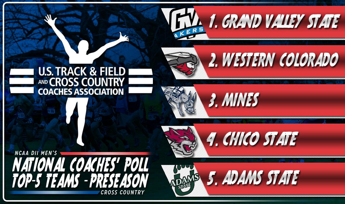 USTFCCCA's tweet image. 🚨 BREAKING NEWS 🚨

Here are the top-5 teams in the @NCAADII Men's Cross Country Preseason National Coaches' Poll! #MakeItYours 

1. @GVSU_XC_TF 
2. @WesternTrack 
3. @CSMtrack 
4. @ChicoStateXC 
5. @AdamsStateTFXC 

👇 SEE THE REST 👇

📄 bit.ly/2Zwhdbi