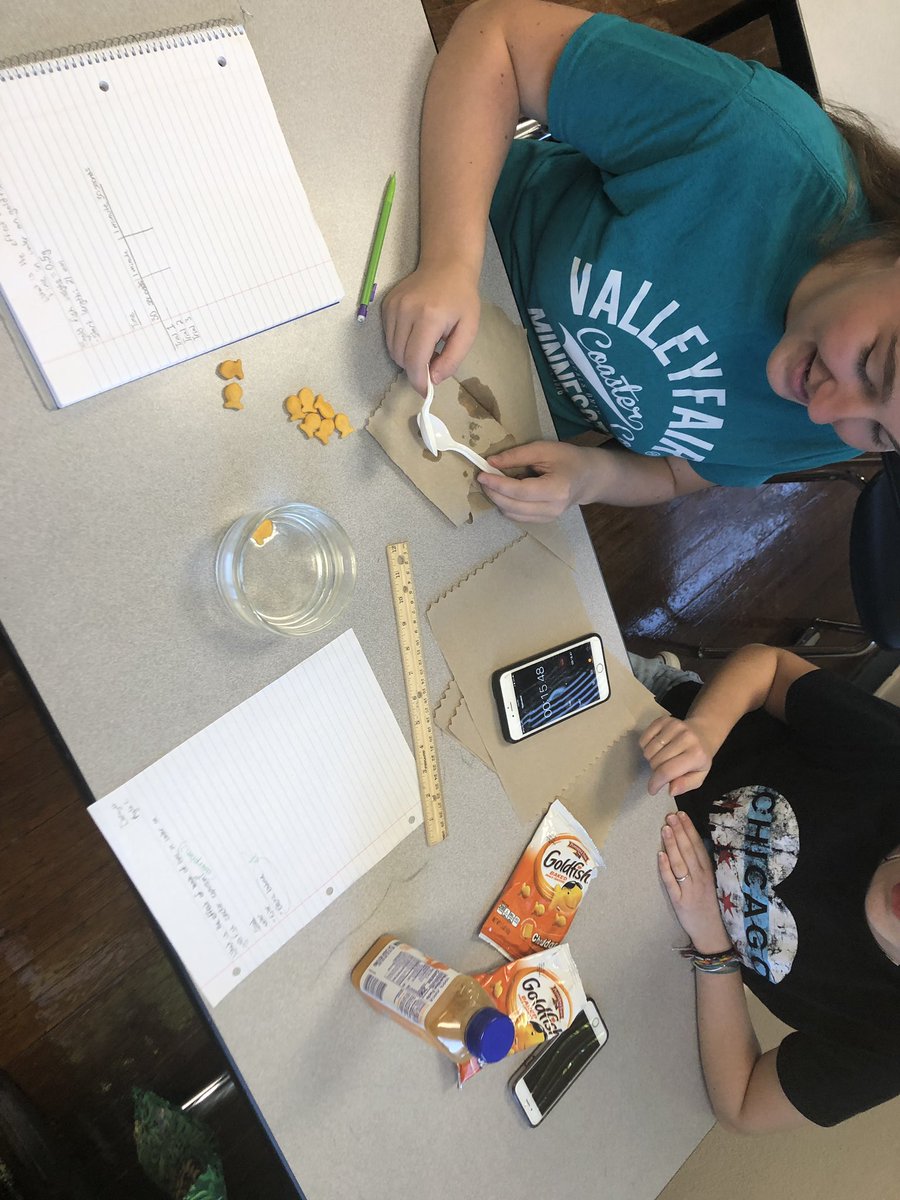 sciencebetsy's tweet photo. #MWSU #DCBio101
After designing a lab of their choice, students are setting up their Control And experimental groups.. It’s Data Time! #SJSDproud. #Lafayette https://t.co/ozAm7ZKoZv