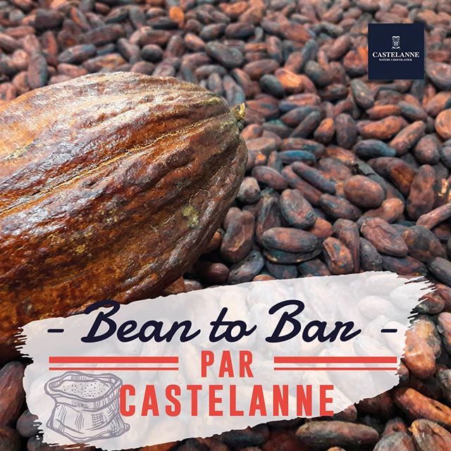 castelannechoco's tweet photo. Nous sommes impatients de vous présenter notre nouvelle gamme Bean to Bar pour la rentrée ! Pleins de nouvelles saveurs, des nouveautés, des surprises et du chocolat, un aperçu sur notre site https://t.co/8WIIwsTmLg et on vous invite les samedis à venir… https://t.co/VZgKhCsKtv https://t.co/xuKzjr37j1