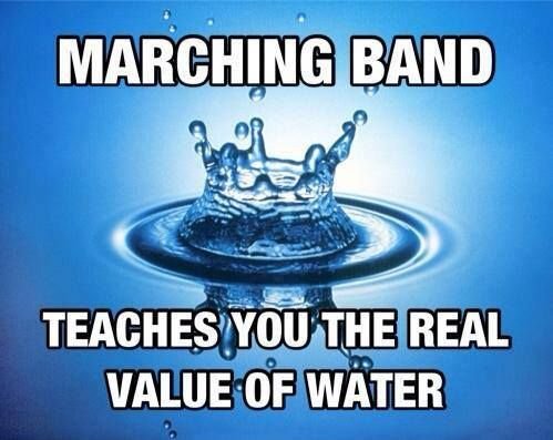 Westwood High School Orchestra tweet media