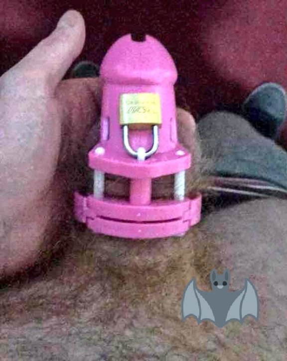 ObeyDiaba666's tweet photo. Puppy has been locked up for daddy 🔐
Do you want to be next? 😈
#findom #chasitity #chasititysub #chasitityslave https://t.co/ASRbQQJr2x