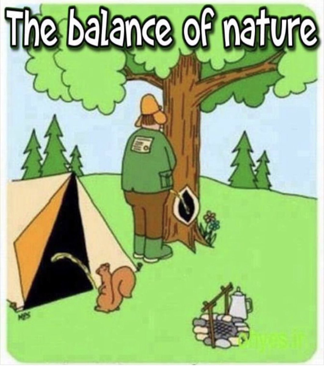 IPAMike (@ipamikem) on Twitter photo 