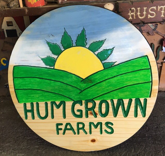 Tropical_Signs's tweet photo. Another beautiful great custom #woodsigns #carvedsigns #handcarving #customsigns #HomeDecor #craft #california #humboldtcountyfair #humboldtcounty #tropicalcarvedsigns https://t.co/YFmObRbjk2