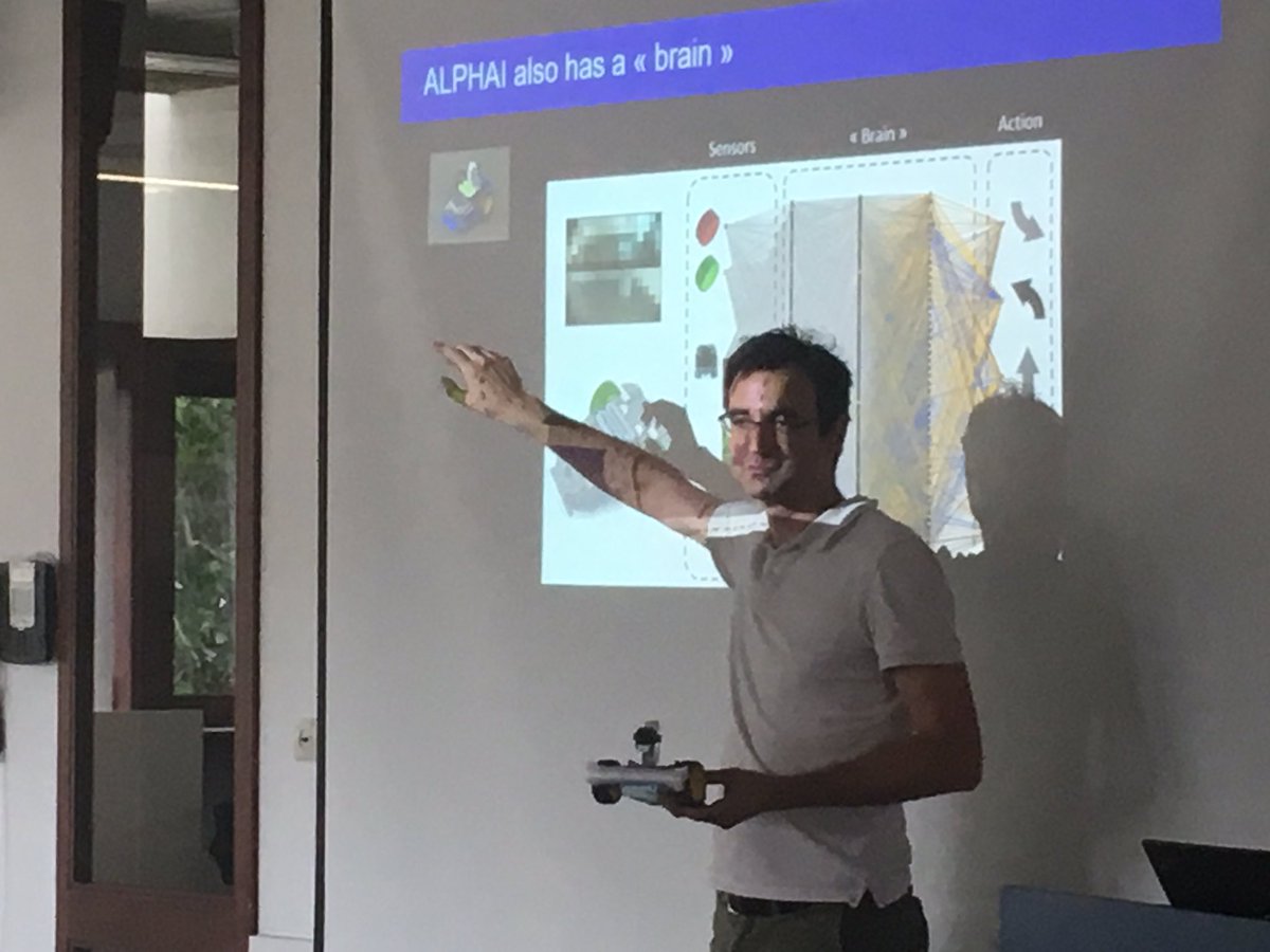 Boraita Fanny tweet media