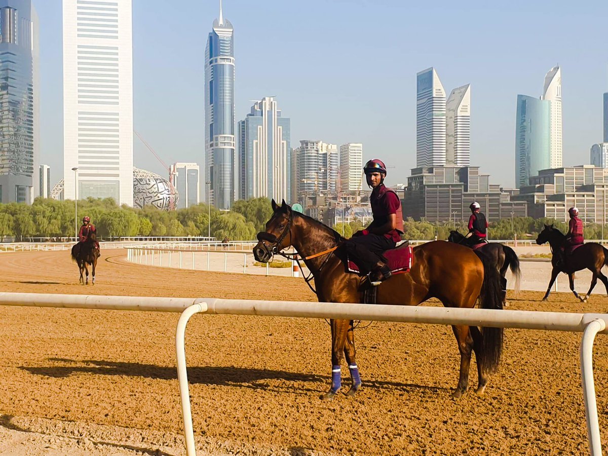 Hot Scot Racing tweet media