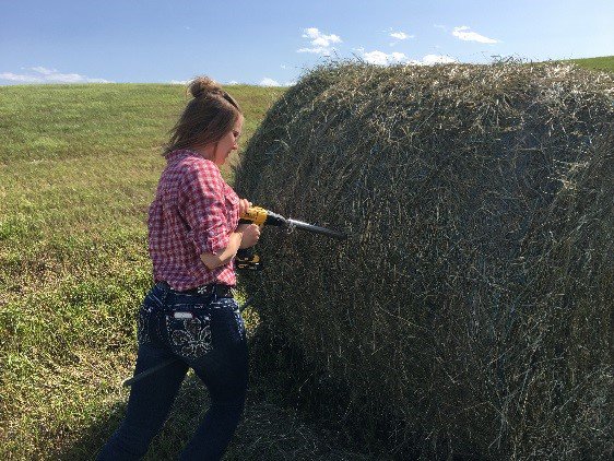 SKAgriculture's tweet photo. Feed resources are valuable; test them for quality and any potential toxins so they can be more strategically and safely fed to your livestock. Learn more here: https://t.co/8i41fPFwe3. #SaskAg #FeedTest https://t.co/jXYewsBbTT