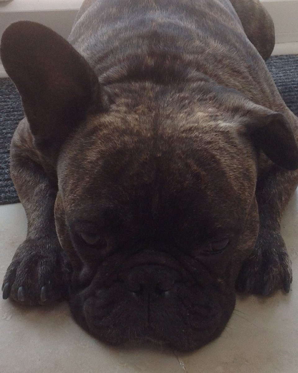 ModelsPlus tweet media