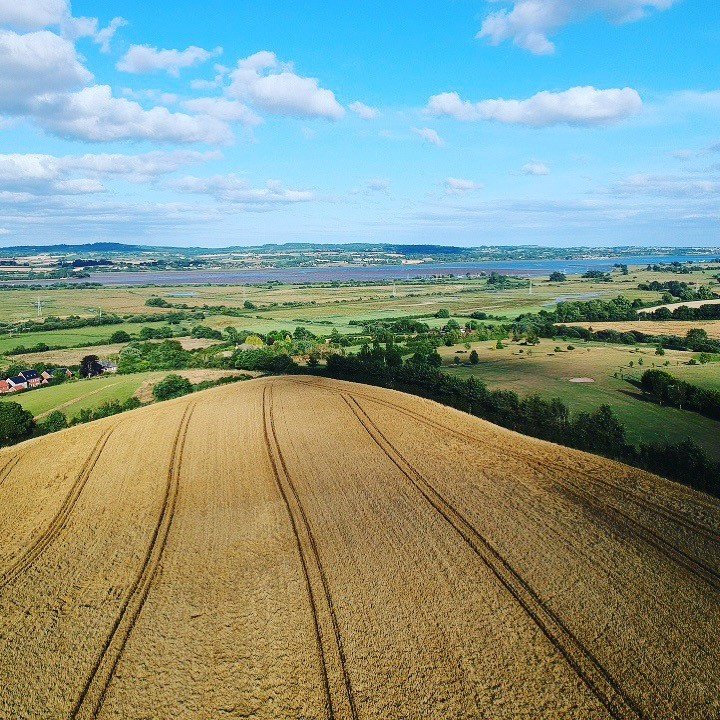 DevonFarms's tweet image. How is your harvest going?
According to FWI; plenty of progress made over the bank holiday weekend with many areas of the country finishing harvest 2019.  
soc.devon.cc/Y8b8Z
#DCC #DevonCC #DevonFarming #Harvest2019 #Combining #Exeter #ExeEstuary #Devon #CountyFarms #Farming
