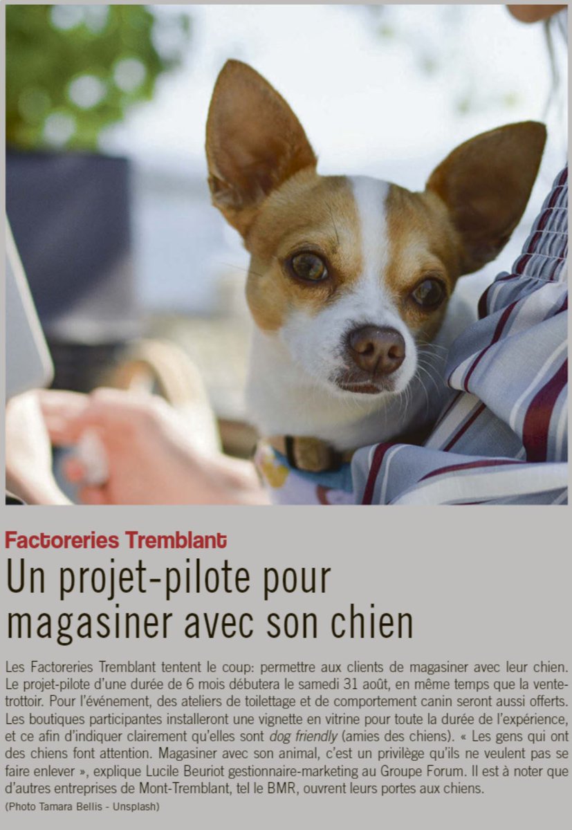 Groupe_Forum's tweet photo. On parle de nous dans L'Info du Nord Mont-Tremblant !
Notre projet Dog Friendly débute le Samedi 31 août.
Cette fin de semaine, venez découvrir nos exposants (Toiletteur, éducateur canin, hôtel dog friendly et accessoires pour chiens). 🐶🐕 #Dogfriendly #realestate #Retail https://t.co/tKCqzPTldX