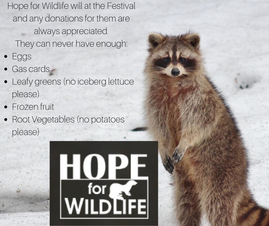 Hope for Wildlife is coming to the Festival! They can always use donations