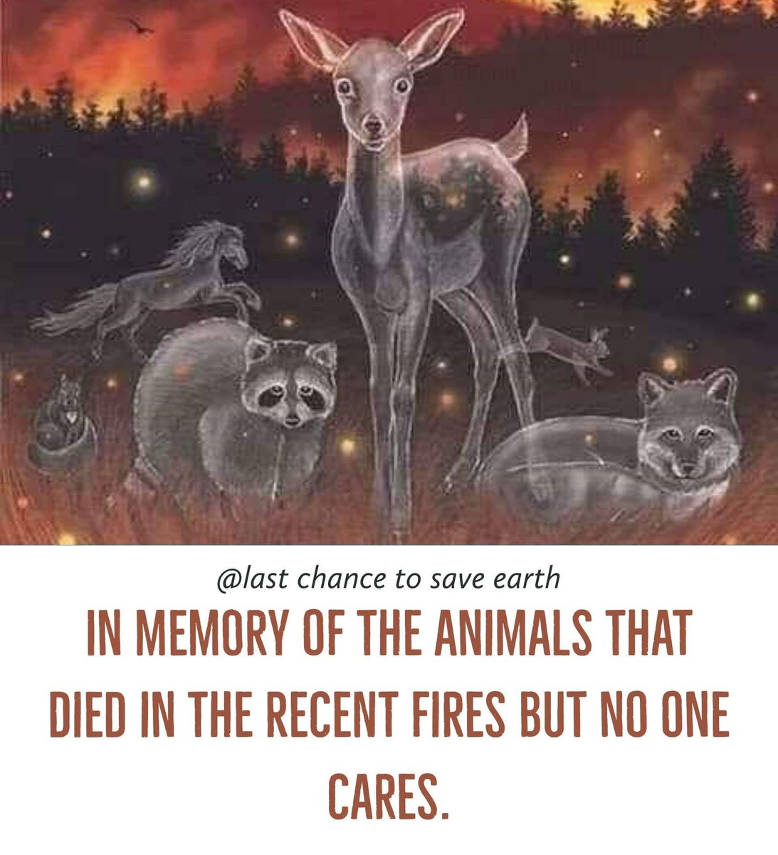 barbmullings's tweet photo. In memory of the #animals #wildlife #EndangeredSpecies #AmazonFires #rainforestfire 💔😥 https://t.co/0sVyKRlD1k
