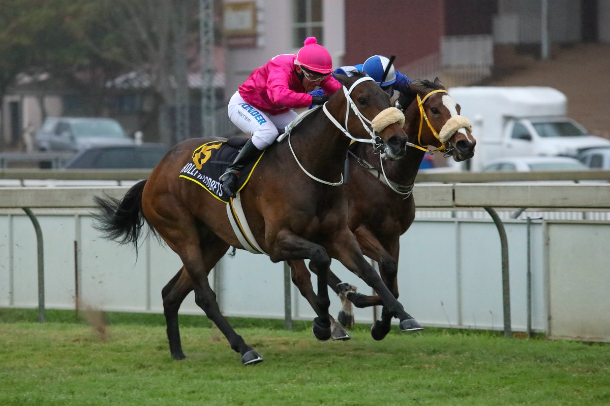 Macrath / Rathmor Stud tweet media