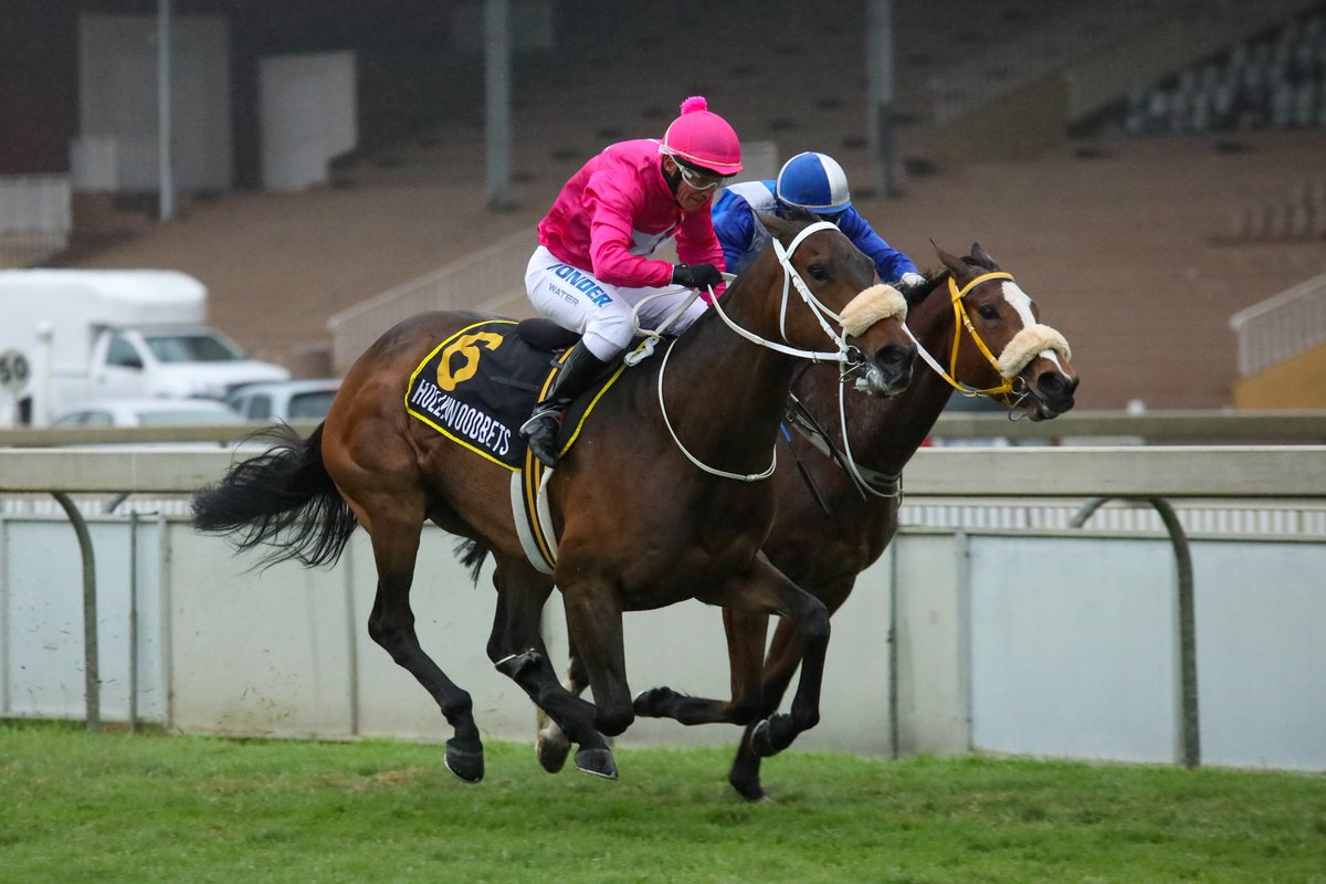 Macrath / Rathmor Stud tweet media