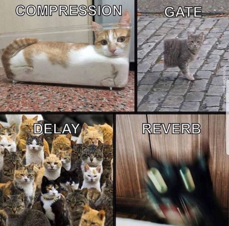 BusyWorksBeats's tweet photo. 😂 https://t.co/iqV8jLbmDW