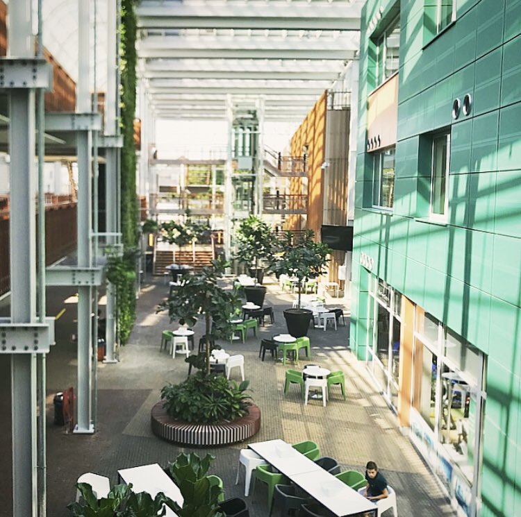 Heee fijn, planten in de school!! Voelt eigenlijk net als thuiskomen na je vakantie en de plantjes leven nog😀 #deltion #zwolle nieuw #schooljaar