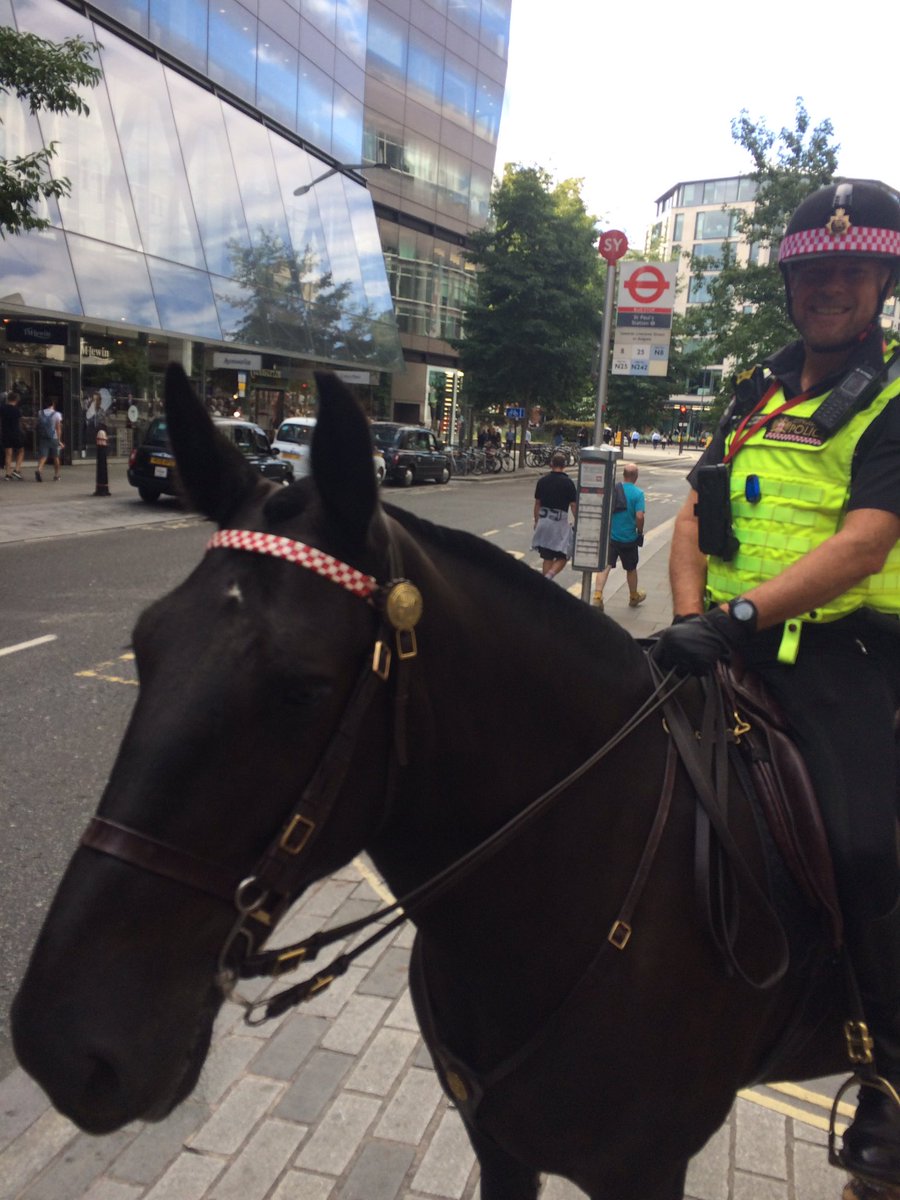 CityHorses's tweet image. #PHSamantha has been out on Tasking and CT Patrols with #PHClyde @One_New_Change #Cheapside @p_sq @BTPLiverpoolSt #Bishopsgate #BroadgateEstate #ProjectServator