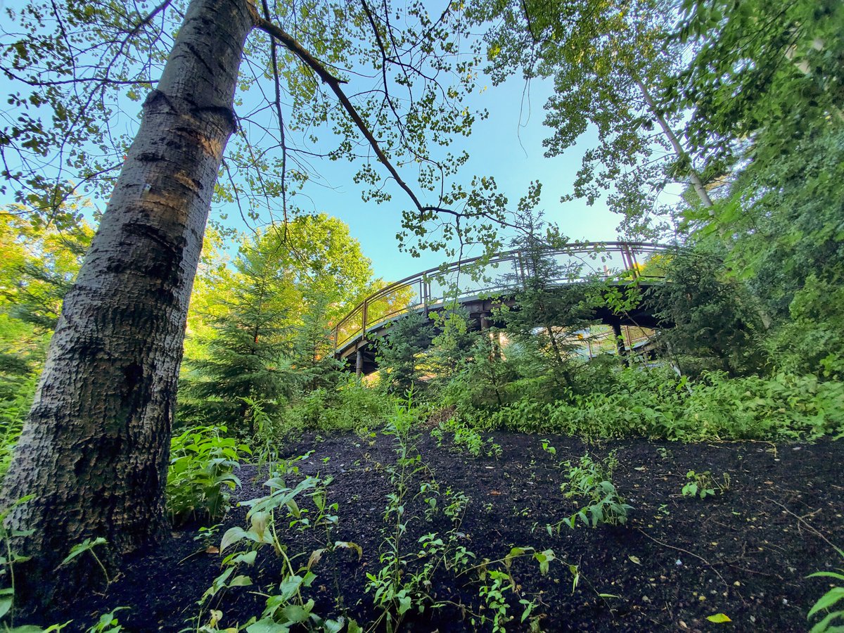 UTSC's tweet photo. BIG NEWS: the #UTSC Valley Land Trail leading to the Highland Creek valley is OPEN! 🎉 There's still a few finishing touches to be added over the next month, but we're excited to announce the trail is now available for the community.
@TRCA_HQ #ScarbTO #UofT #UofTBackToSchool https://t.co/45wqoUrO5g