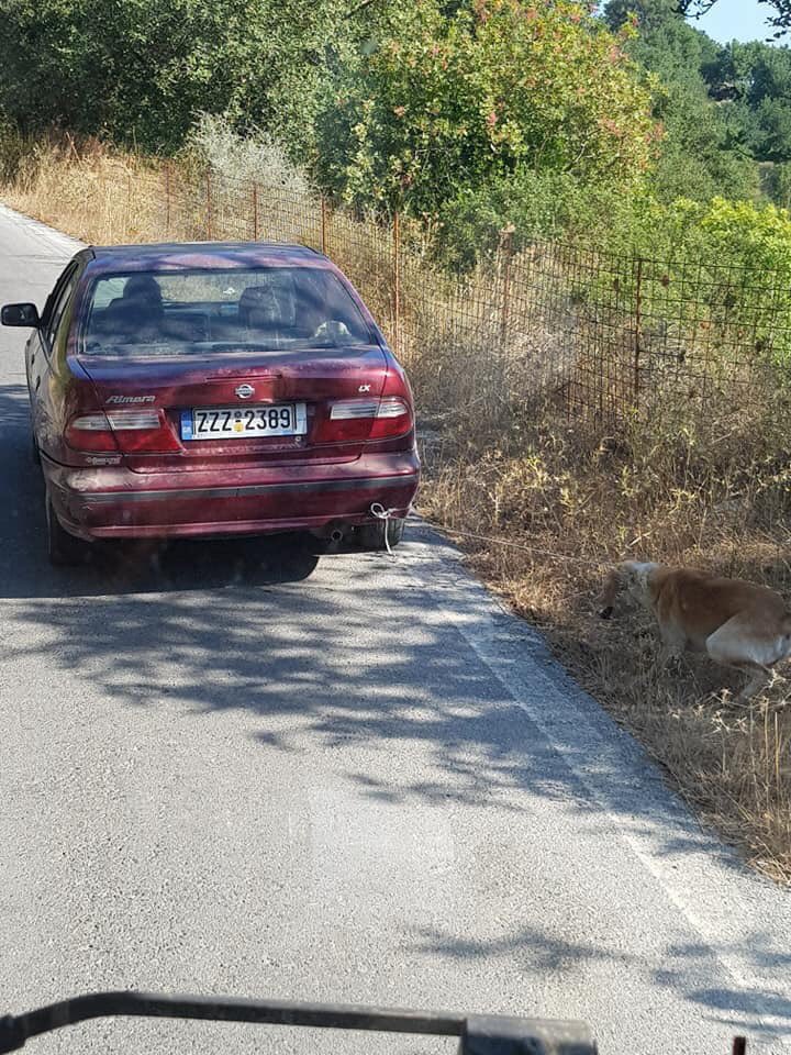 gidolaos's tweet photo. Απερίγραπτο κτήνος.
Οι φωτός είναι από facebook κ έχουν σταλθεί ήδη στην @hellenicpolice.
Κοινοποιούμε για να πάρει το θέμα μεγαλύτερη έκταση.
Του αξίζει διαδικτυακός διασυρμός. https://t.co/Ut09IS121m