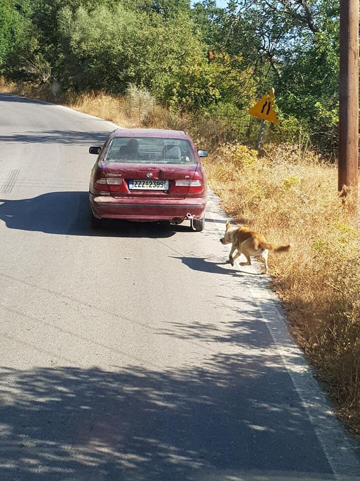 gidolaos's tweet photo. Απερίγραπτο κτήνος.
Οι φωτός είναι από facebook κ έχουν σταλθεί ήδη στην @hellenicpolice.
Κοινοποιούμε για να πάρει το θέμα μεγαλύτερη έκταση.
Του αξίζει διαδικτυακός διασυρμός. https://t.co/Ut09IS121m