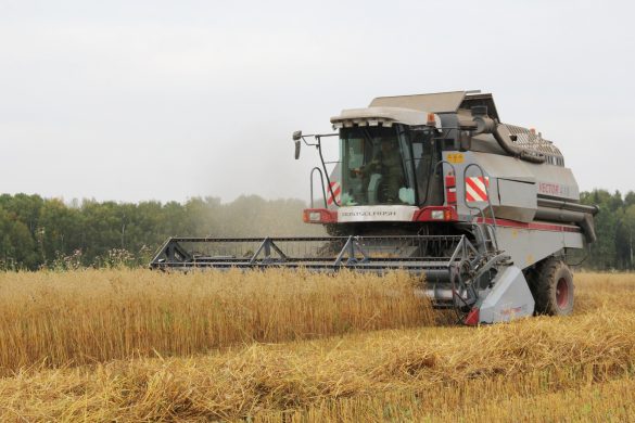 Сельхозпредприятия Родниковского района продолжают уборку урожая 
vlast.io/selxozpredpriy…
vlast.io/wp-content/upl…