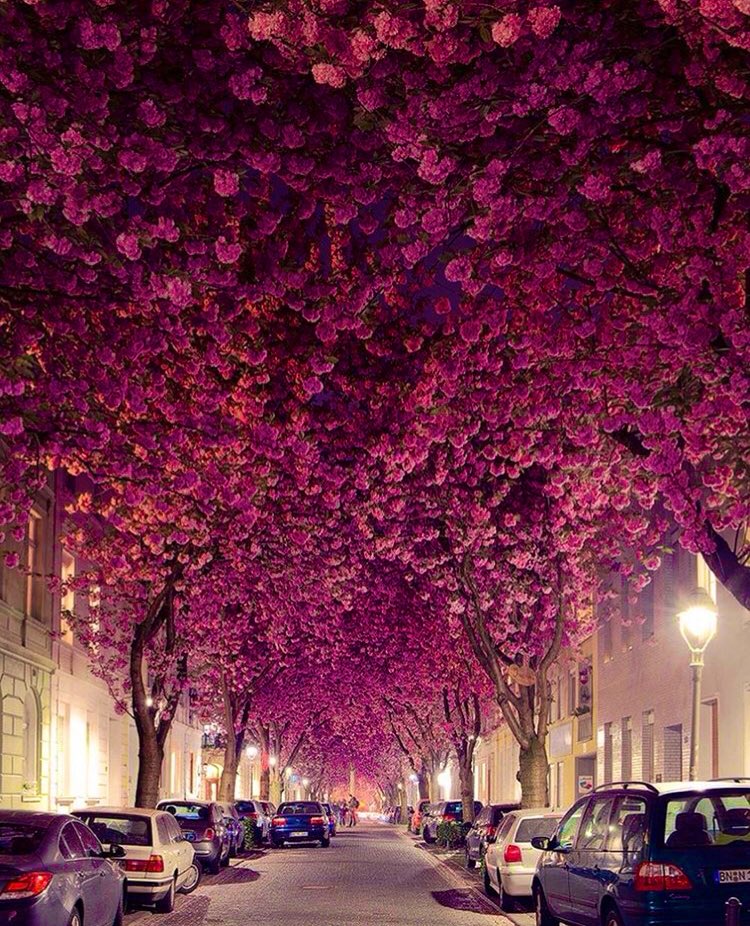 WeliveWorld's tweet photo. Bonn, Germany https://t.co/kwDOBaGBbC