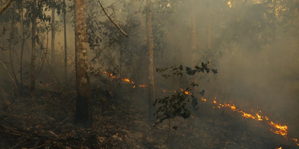 Manchester Metropolitan Uni (@manmetuni) on Twitter photo "Reducing #wildfires requires going beyond addressing the ignition sources and fighting the flames themselves," says #McrMetUni Senior Lecturer <a href="/Alexander_Lees/">Alex Lees</a> and Jos Barlow of <a href="/LancasterUni/">Lancaster University</a> in this <a href="/ConversationUK/">The Conversation</a> piece on the #Amazon fires: ow.ly/IeIw50vL1Nq "Reducing #wildfires requires going beyond addressing the ignition sources and fighting the flames themselves," says #McrMetUni Senior Lecturer <a href="/Alexander_Lees/">Alex Lees</a> and Jos Barlow of <a href="/LancasterUni/">Lancaster University</a> in this <a href="/ConversationUK/">The Conversation</a> piece on the #Amazon fires: ow.ly/IeIw50vL1Nq