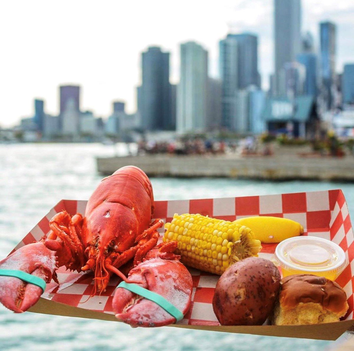 Echelon_Chicago's tweet photo. The Great American Lobster Fest returns to Navy Pier on Labor Day weekend! 🦐 Feast on live lobster flown in fresh from the East Coast, live music, and family-friendly games &amp; activities! Check out @americanlobsterfest on Instagram for more information and tickets. https://t.co/gKaNwf8LCO