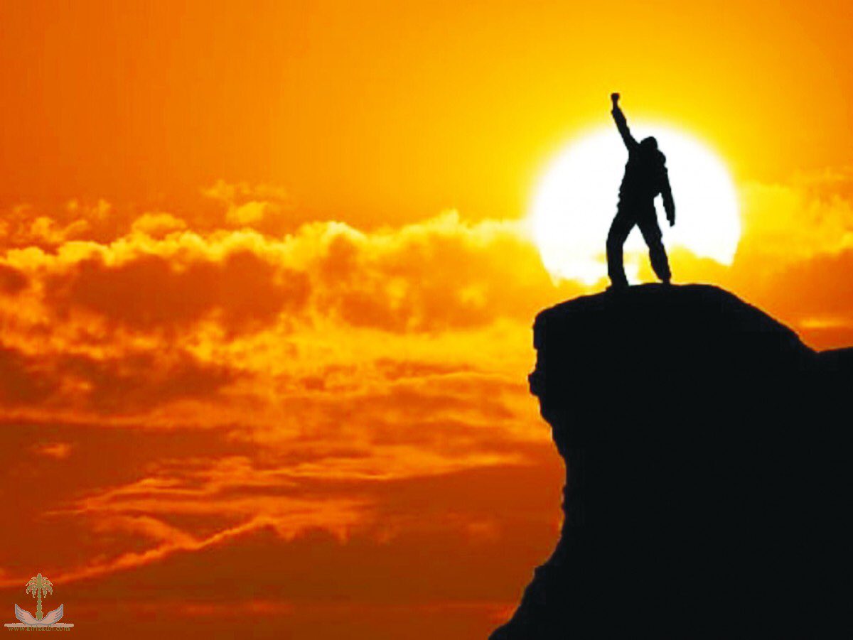 عيسى جرابا tweet media