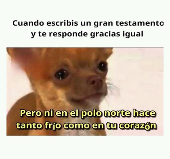 Dm22_ok's tweet photo. #BuenDia #BuenMiercoles #MiercolesDeGanarSeguidores https://t.co/l0VRgeHRmM