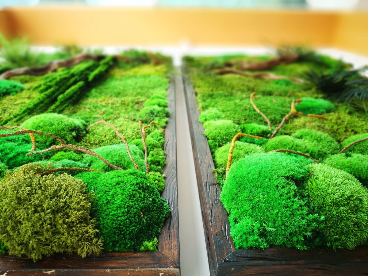 mossy_es's tweet photo. Decoración artesanal sostenible para interiores. Naturaleza preservada que aporta elegancia y distinción sin necesidad de mantenimiento.
Próximamente en https://t.co/EDEATW9ZNa https://t.co/yL85yxU5rX