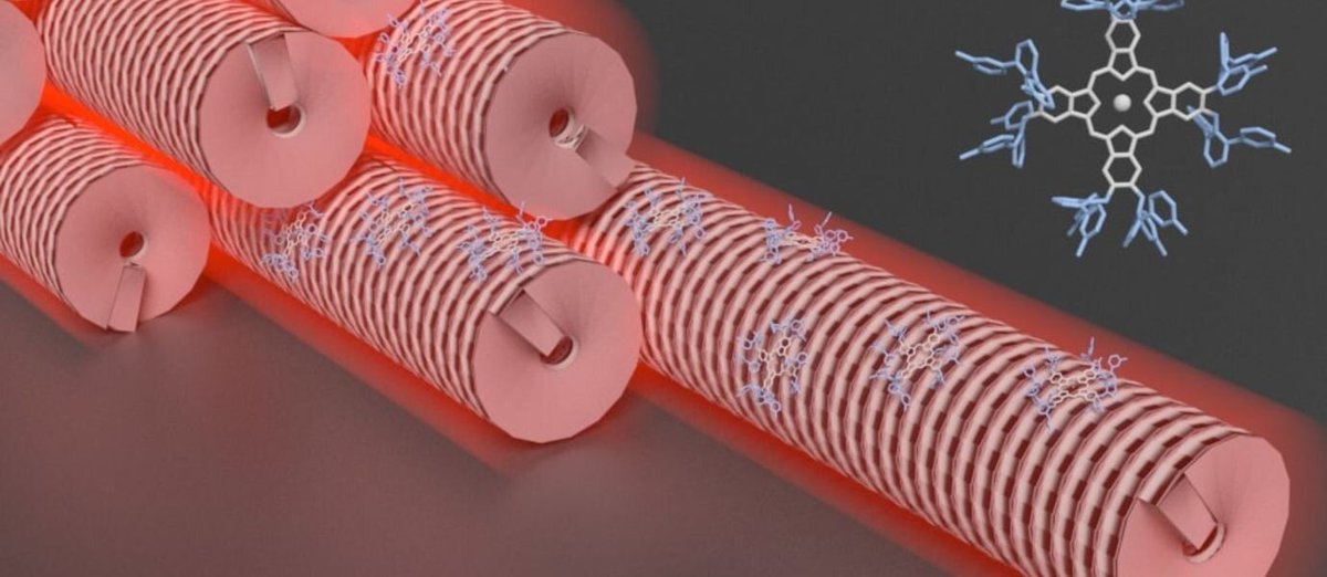 EPLinc's tweet image. Dyes and viruses create new composite material for photo-oxidation reactions buff.ly/33G21HV