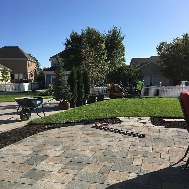 SonyaKNelsen's tweet photo. The trees are here! https://t.co/keQ4OaHG4B https://t.co/HAKqftBUXG
