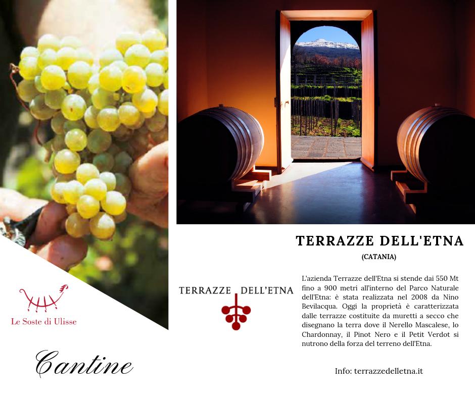 L'universo #WINE della Sicilia è unico e inimitabile...e Le Soste di Ulisse vi porta a scoprirne il meglio, come l'azienda Terrazze dell’Etna, a Catania, che si stende dai 550 fino a 900 mt all’interno del Parco Naturale dell’Etna, realizzata nel 2008 da Nino Bevilacqua. #sicilia