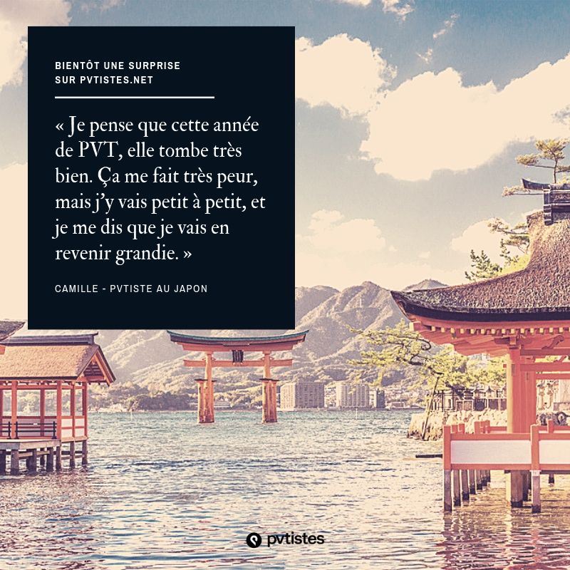 pvtistes.net tweet media