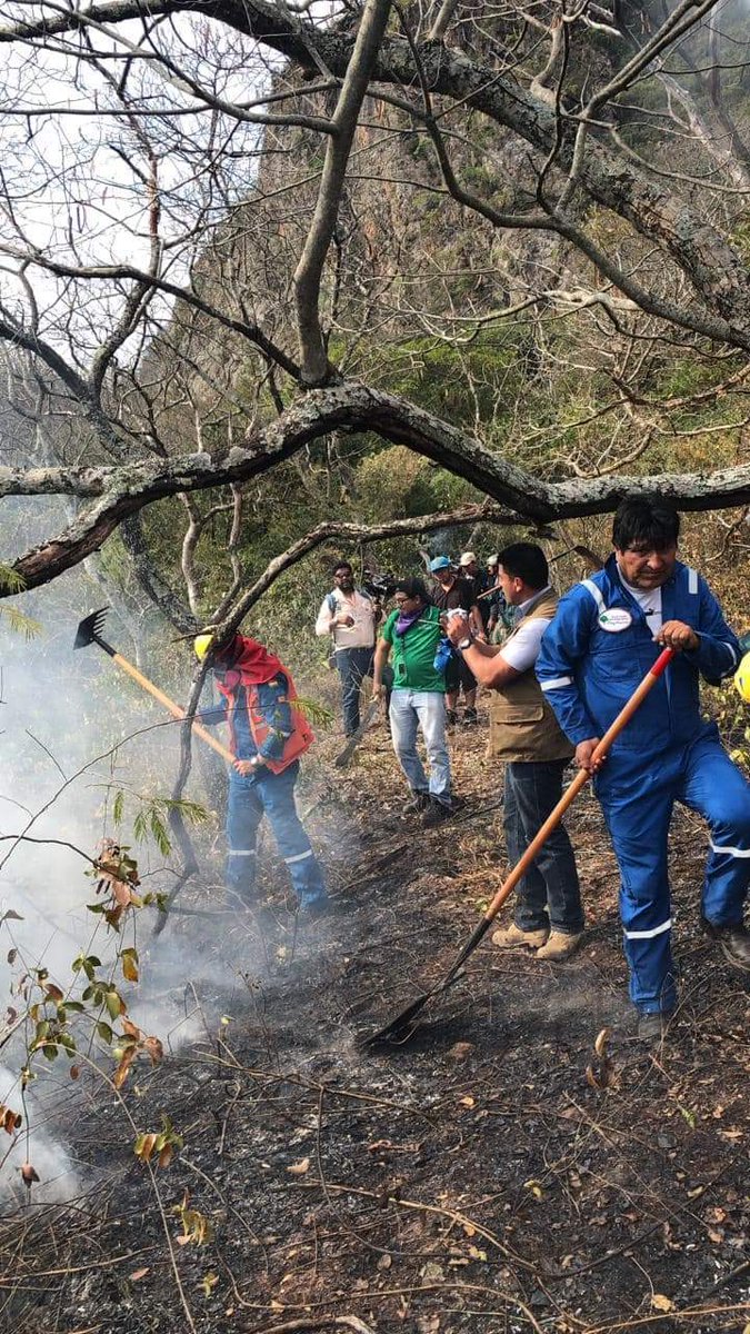 MayukhDuke's tweet image. While Brazil's fascist ruler is busy in laughter challege,Bolivian President,leftist Evo Morales with some ministers went to the Chiquitania region of his country,to get in touch with the firefighters &amp;amp; participate himself on saving the forest.
#SaveAmazon #LeftAlternative