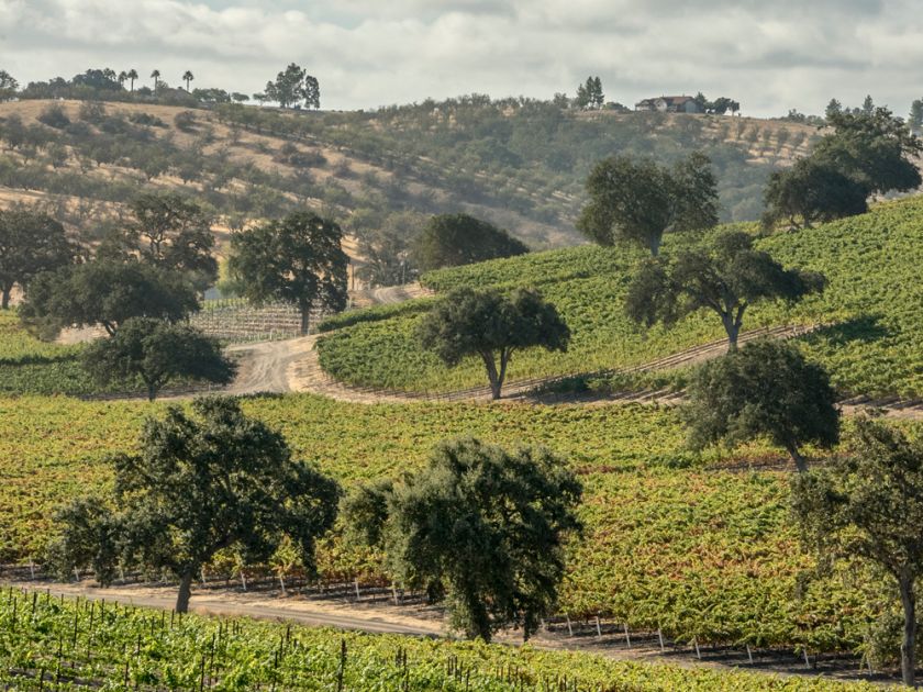 PasoRoblesWine's tweet photo. Passion for Paso --> via @joannesasvari in @TheTorontoSun
https://t.co/SM48wnr9w4 #pasowine #pasorobles @TravelPaso @VisitSLOC https://t.co/PSvbMCMUf3
