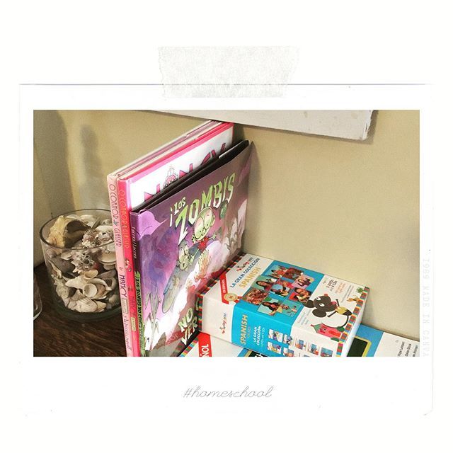 TracisStar's tweet image. Having kids with #differentiallearning has distinct challenges and we are always looking for tools to meet their unique learning needs.
📒
📒
📒
📒
📒
This year we made the difficult decision to continue #homeschool with my daughter. Right now it seem… ift.tt/2ZACnB7