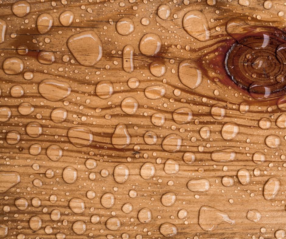 SRDesignGroup1's tweet image. If gorgeous hardwood floors are a part of your remodel with SR Designs, this article will help you with any possible future water-damage to your floors!👍

Take a look for some great tips &amp;amp; tricks!
💻 1l.ink/MDJG4KQ

#SRDesignGroup #Design #Remodeling