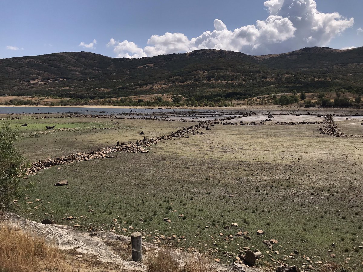 JuanLuisArsuaga's tweet photo. Los yacimientos del Valle de los Neandertales desde el otro lado del río Lozoya. Aquí es donde se construirá el centro de interpretación . #PinilladelValle #yacimientos Recordad, preguntas para el encuentro en redes del día 2 con el hashtag #PinillaPregunta https://t.co/wLiMytXF4Q