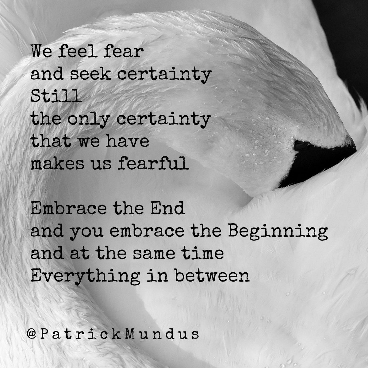 We feel fear 
and seek certainty 
Still 
the only certainty 
that we have 
makes us fearful 

Embrace the End 
and you embrace the Beginning 
and at the same time 
Everything in between 🙏❤