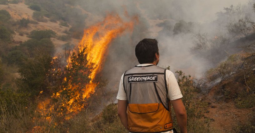Director de Conaf prevé un “escenario adverso” de cara a incendios forestales tinyurl.com/y4mmwfhl