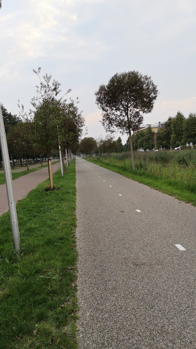 toplecram's tweet photo. @PolitieVDM brommers rijden zeer hard op dit fietspad. Dit is zeer gevaarlijk voor debtalrijk spelende Kids, mogen ze überhaupt hier wel rijden eigenlijk 🤔 https://t.co/LZBg2QJAtu