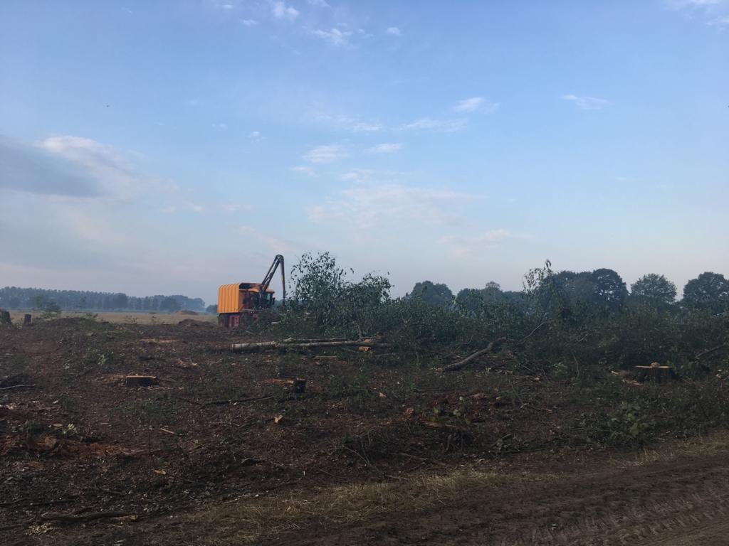 Bert Lüchies tweet media