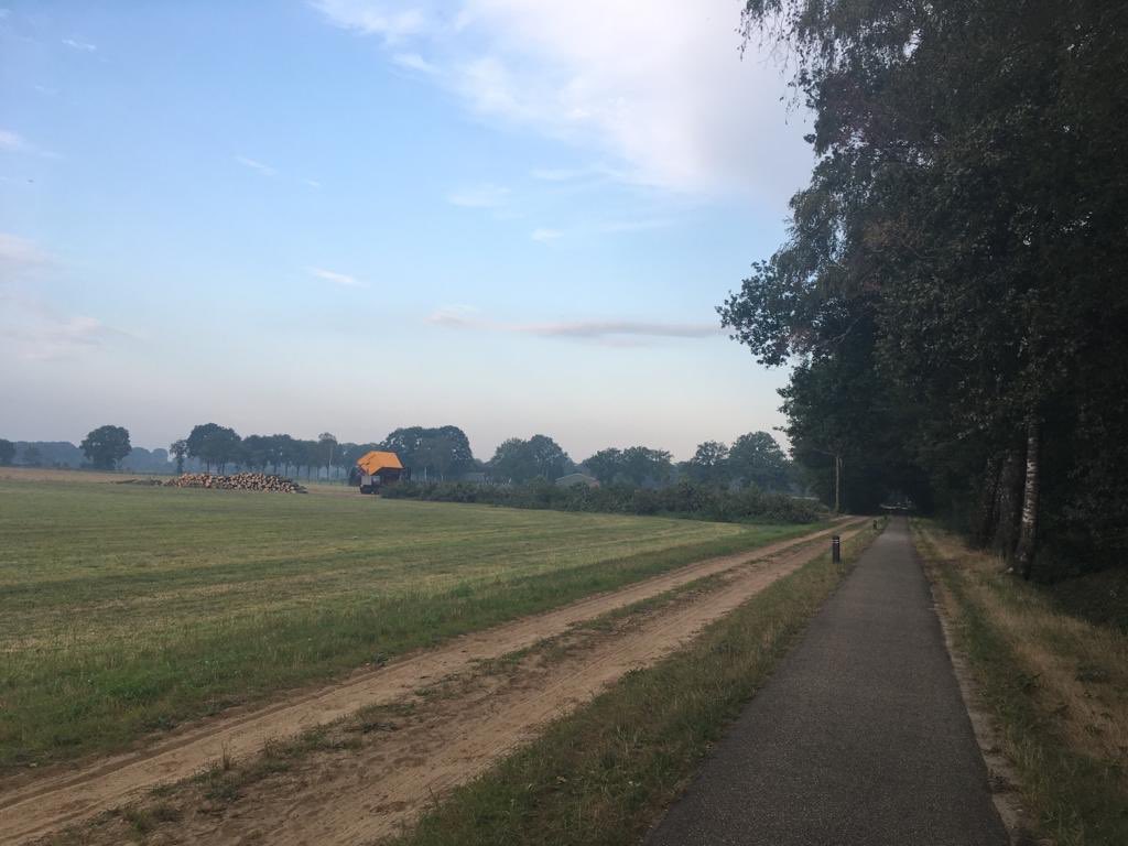 Bert Lüchies tweet media