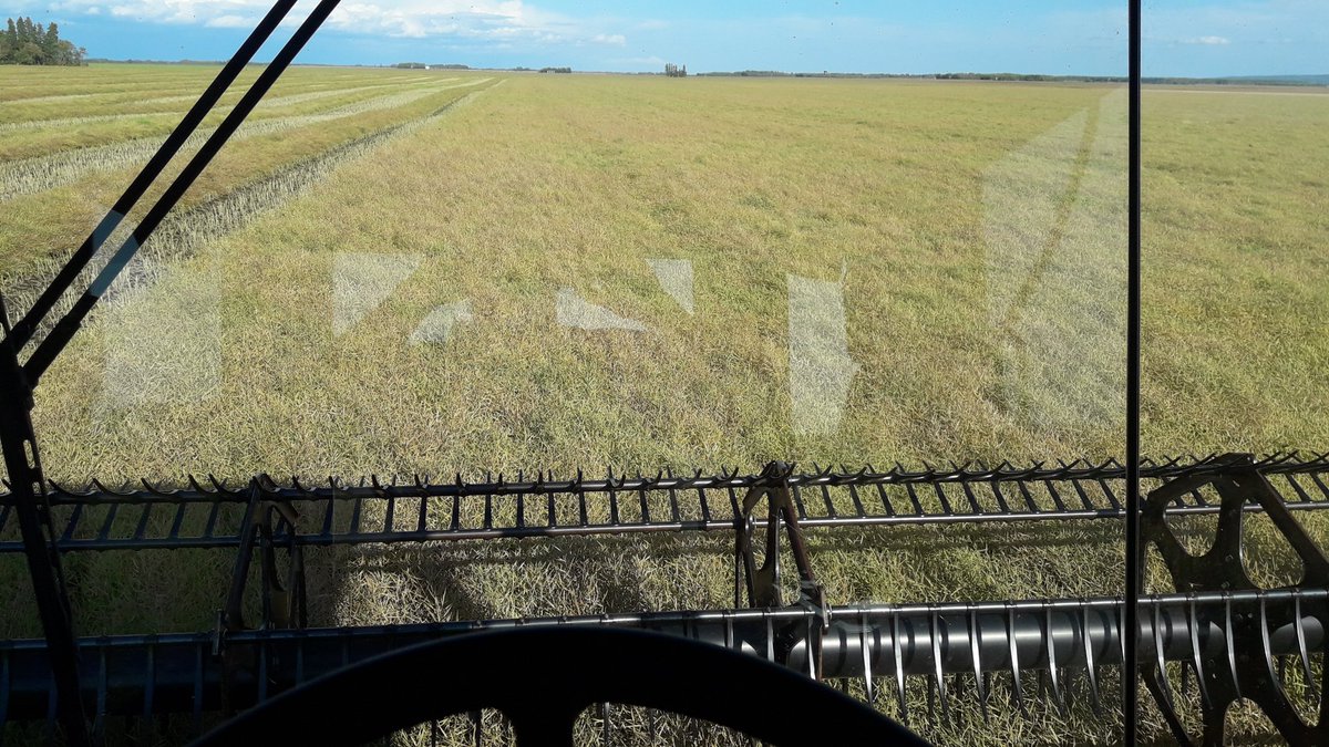 Chance2FarmLtd's tweet photo. May not be pretty,..but it is consistent. #L230 https://t.co/6m4gEkh5eb