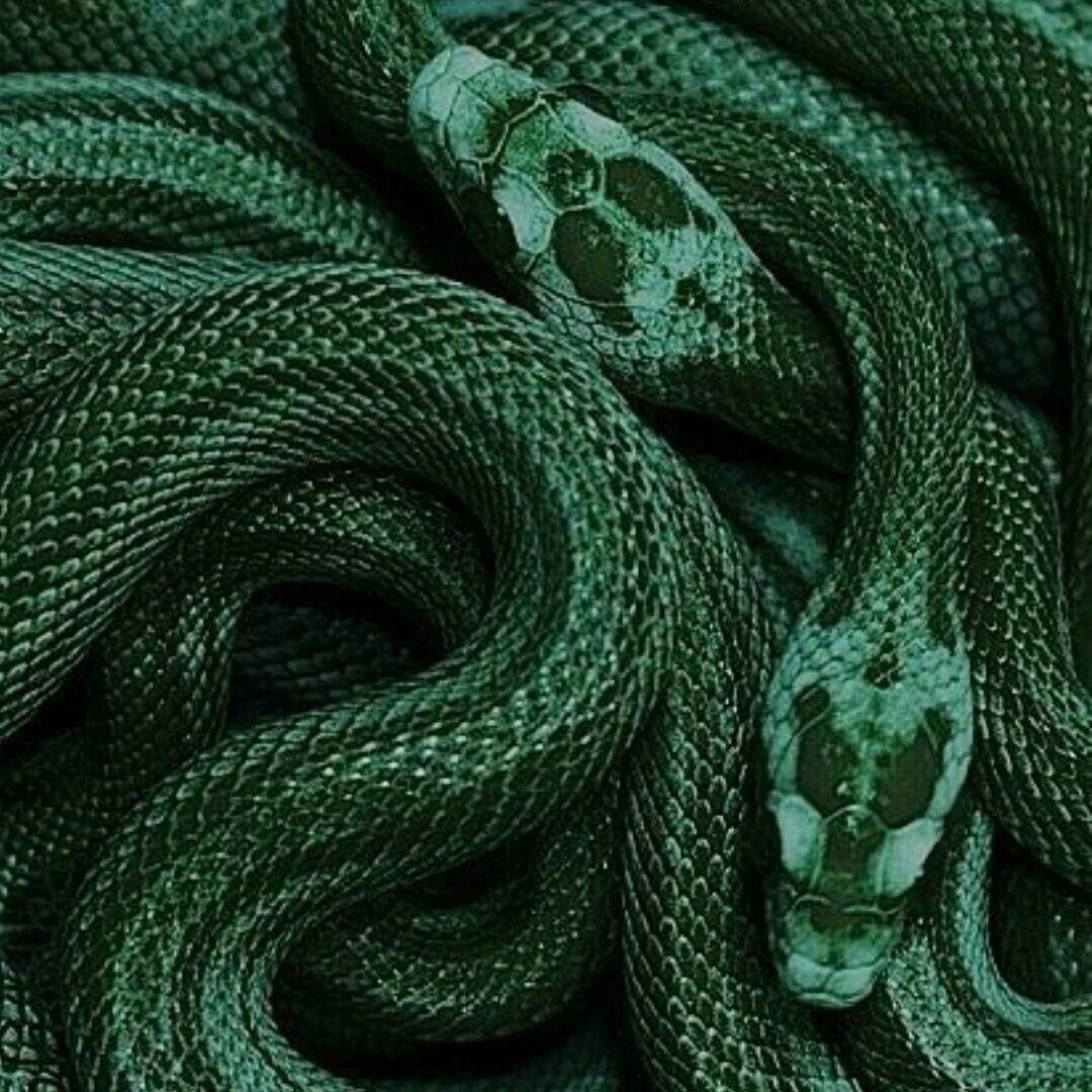 Al infierno le gusto más que tú.