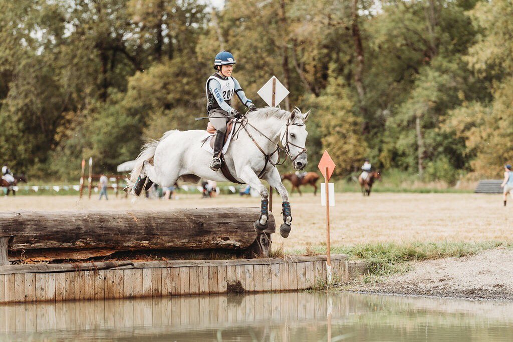 eventerjo's tweet photo. We are 2*-S qualified! 🦄😆 my $1 appendix gelding is my real life unicorn! #eventing #eventingnation https://t.co/XtUXxcnVE4