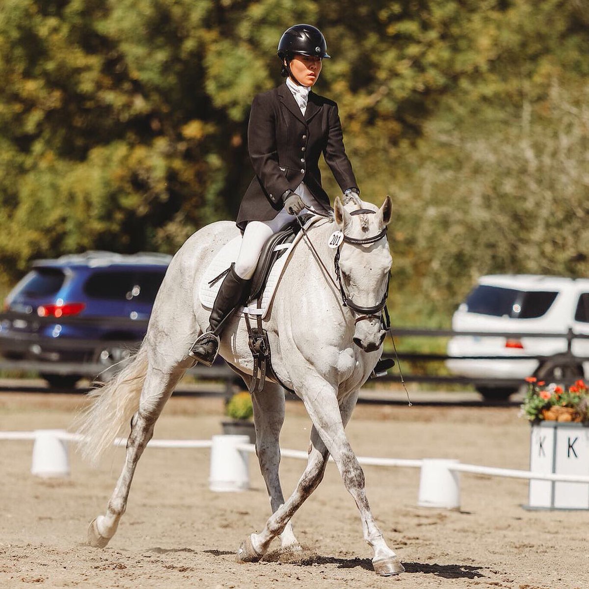 eventerjo's tweet photo. We are 2*-S qualified! 🦄😆 my $1 appendix gelding is my real life unicorn! #eventing #eventingnation https://t.co/XtUXxcnVE4