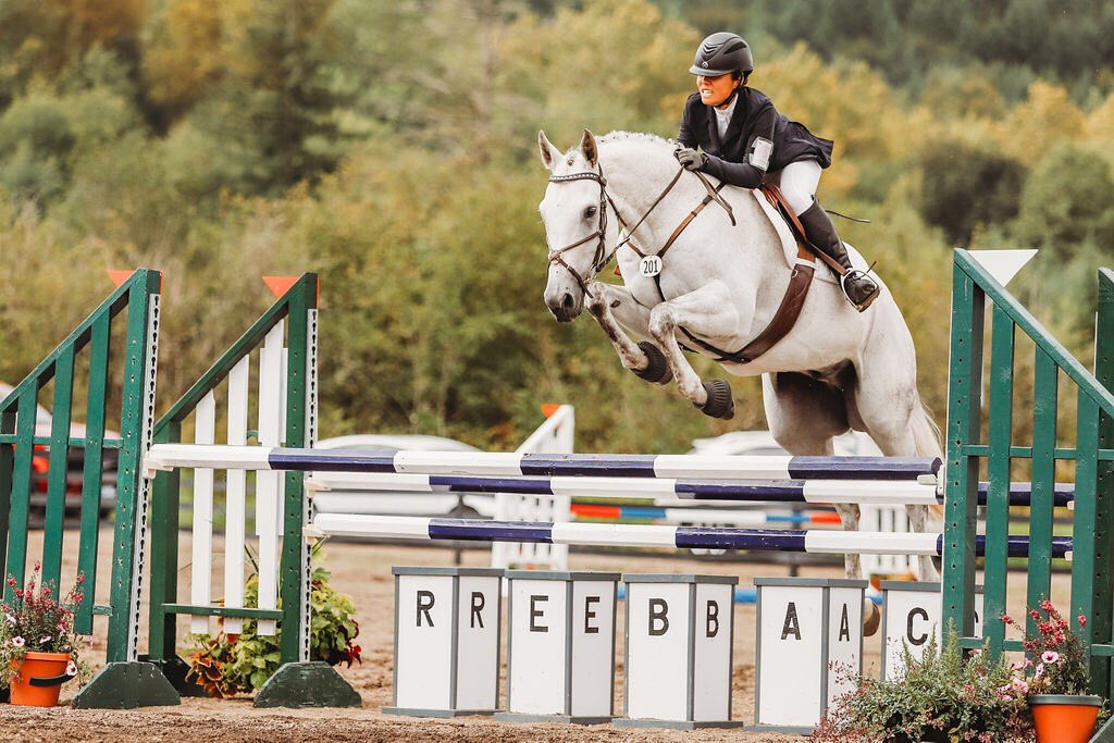eventerjo's tweet photo. We are 2*-S qualified! 🦄😆 my $1 appendix gelding is my real life unicorn! #eventing #eventingnation https://t.co/XtUXxcnVE4